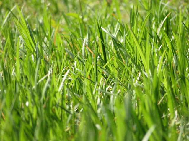 口袋里的40倍變焦 佳能SX720 HS評測 