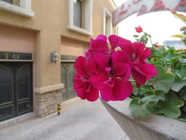 口袋里的40倍變焦 佳能SX720 HS評測 