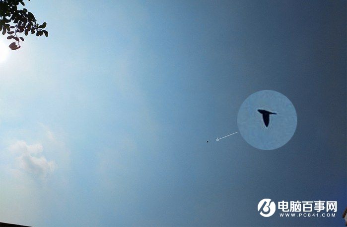 國產手機新標桿 vivo Xplay5全面評測