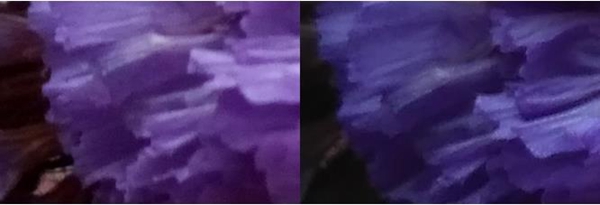 誰是百元機(jī)王者？魅藍(lán)3和紅米3對比評測