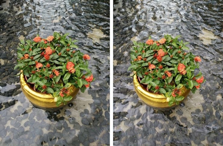 內戰！ vivo Xplay5頂配版 VS 標準版拍照評測