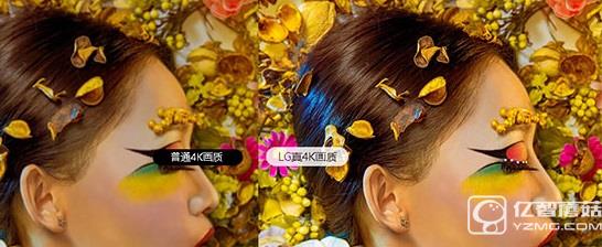 LG真4K畫面 LG真4K畫面