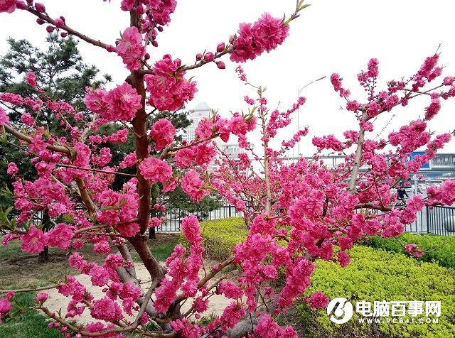 指紋升級 魅藍note3和魅藍metal區別對比