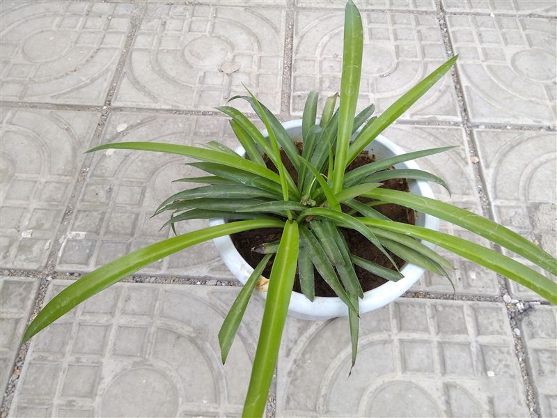 6.44寸黃金大屏！小米Max深度評測：續航驚人