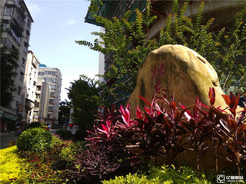 給你1999元買小米5還是小米Max 小米Max評(píng)測(cè)