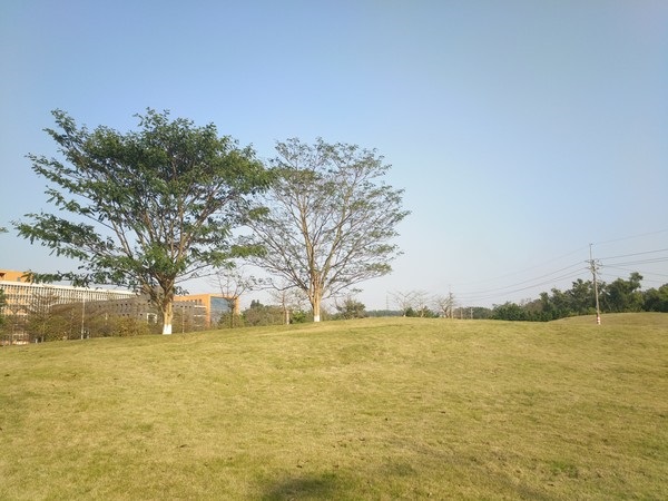 vivo Xplay5和OPPO R9系統與拍照對比