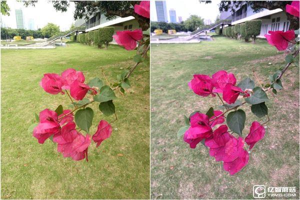 既生瑜何生亮?同門對決OPPO R9哭暈在廁所(OPPO R9、R9 Plus超詳細體驗對比)