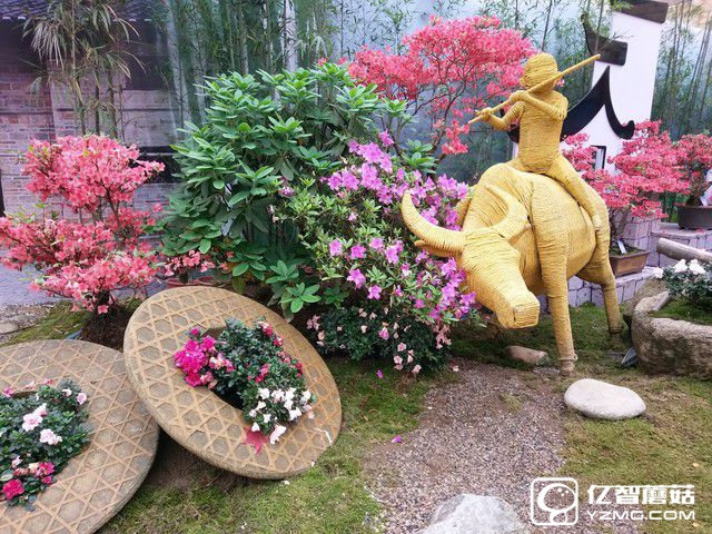 拿什么重拾信仰 HTC 10 lifestyle評測