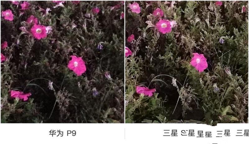 華為P9/三星 S7 edge拍照對比評測