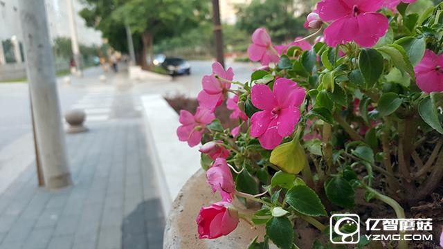 中興AXON天機7評測：進步的不只有型號