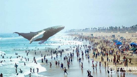 這家神秘公司可能會帶來比VR頭盔還炫酷的產品