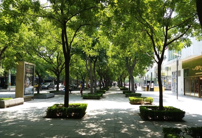 三星C5拍照怎么樣 樣張組圖欣賞