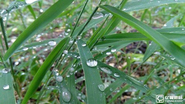 1799元！聯想5寸旗艦ZUK Z2評測：驍龍820加持