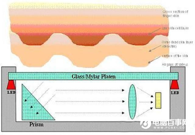 為啥濕手不能解鎖?解析手機指紋識別原理