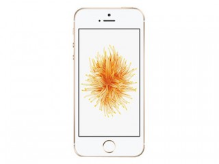 iPhoneSE怎么開啟兩步驗證？蘋果iPhoneSE兩步驗證開啟方法