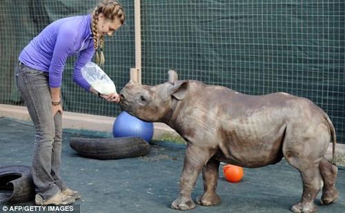 微軟強(qiáng)制升級<a href=/tags/26-0.html target=_blank class=infotextkey>win10</a>擾亂<a href=/pc/ target=_blank class=infotextkey>電腦</a>運(yùn)行 在非洲差點(diǎn)鬧出人命