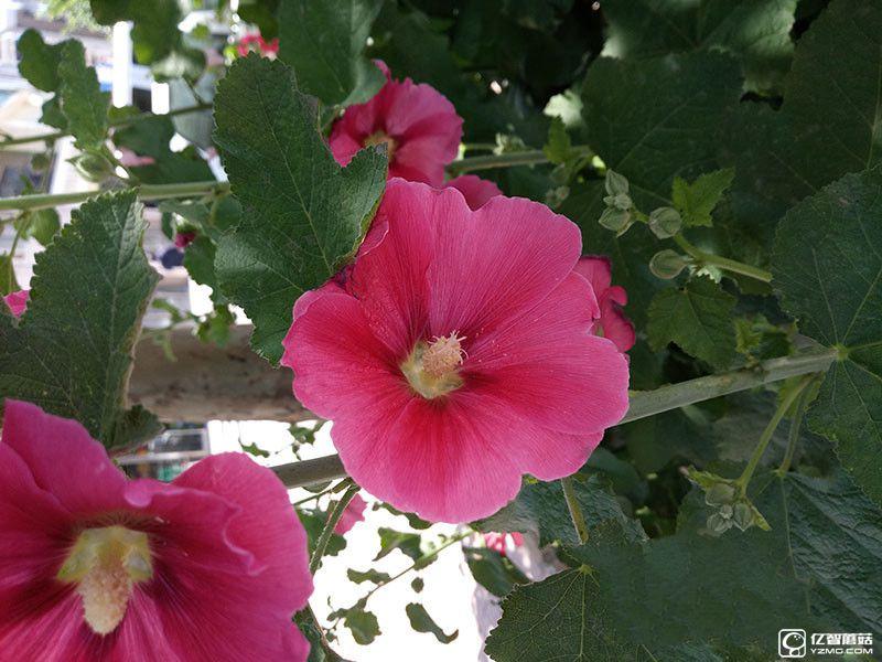 完美詮釋“體驗(yàn)為王” 360手機(jī)N4評(píng)測(cè)