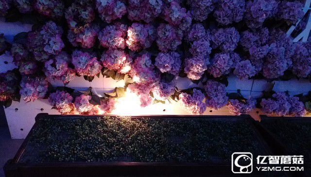 HTC Desire 830全面評測:"年輕,沒怕的"