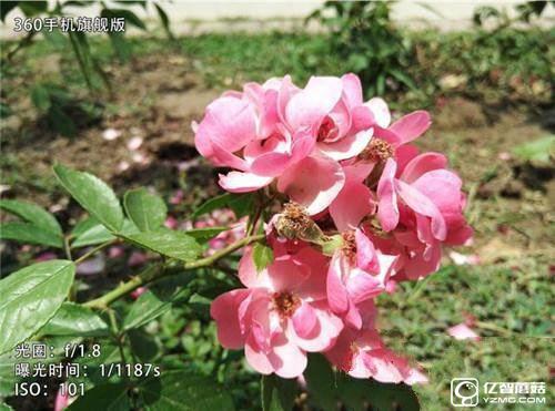 華為榮耀V8和華為P9 Plus/360手機旗艦版對比評測:雙攝像頭拍照功能哪家強? 華為榮耀V8,華為P9Plus,360手機旗艦版