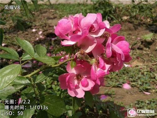 華為榮耀V8和華為P9 Plus/360手機旗艦版對比評測:雙攝像頭拍照功能哪家強? 華為榮耀V8,華為P9Plus,360手機旗艦版