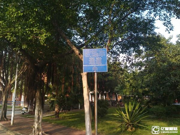 中興Blade A2和A1拍照哪個好 樣張對比