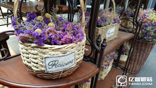 2000萬像素體驗 中興天機7拍照專項評測