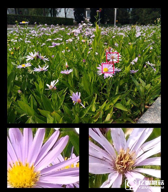 榮耀暢玩5A評測坑