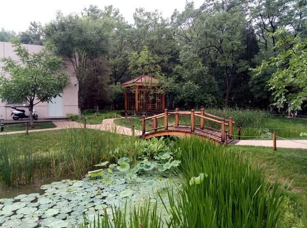 魅藍3S拍照樣張