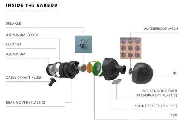 The Tech Inside Vi - 2.jpg