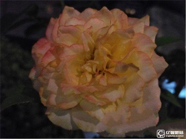 紅米手機3S/紅米Note 3/紅米手機3標準版/高配版對比