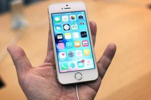 禍起蕭墻！低價iPhone SE拖累高端iPhone6s銷量