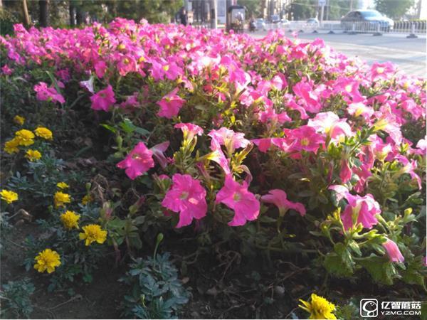 699元紅米3S深度評測:驍龍430、MIUI 8是亮點