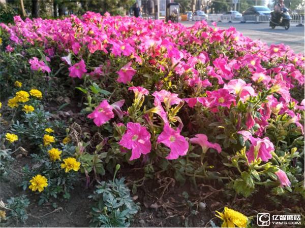 699元紅米3S深度評測:驍龍430、MIUI 8是亮點