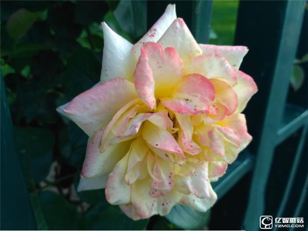 699元紅米3S深度評測:驍龍430、MIUI 8是亮點