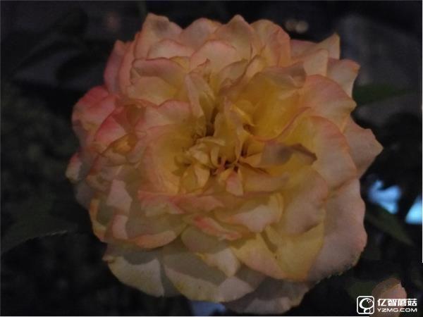 699元紅米3S深度評測:驍龍430、MIUI 8是亮點