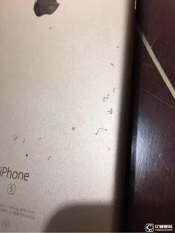 iPhone6s驚現“氧化門” 您中招了么？