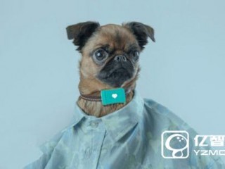 Tracy Tracker智能項(xiàng)圈：汪星人的貼心保姆