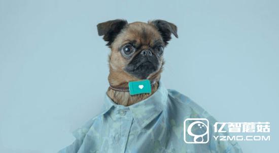 家中汪星人沒人管？Tracy Tracker智能管家幫你忙