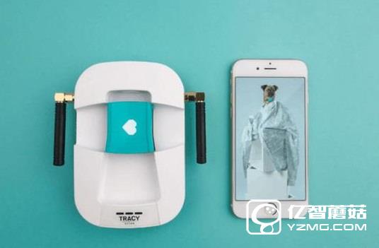 家中汪星人沒人管？Tracy Tracker智能管家幫你忙