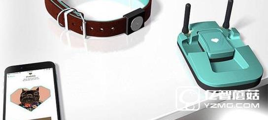 家中汪星人沒人管？Tracy Tracker智能管家幫你忙