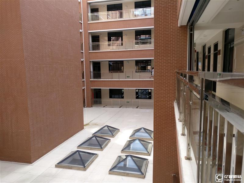 Zealer王自如評測一加3:不將就 好美!