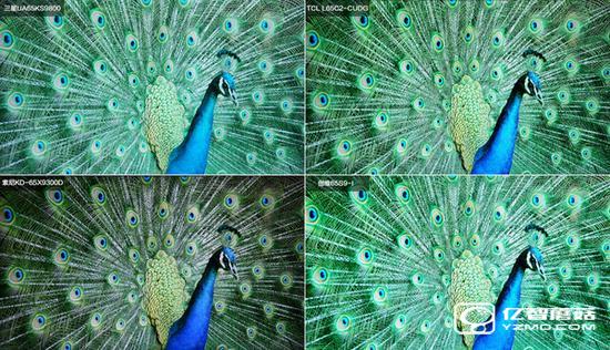 四款65智能電視圖片對比