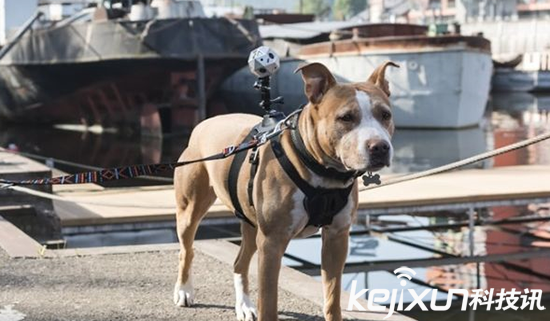 VR視頻如何拍攝 拍攝VR資源也是個體力活！