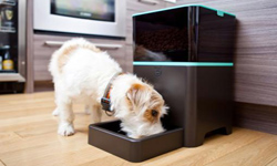 這些案例告訴我們：盲目相信高科技是愚蠢的