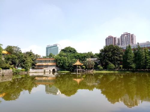 金立M6拍攝功能體驗(yàn)