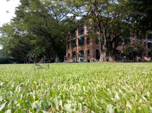 金立M6拍攝功能體驗(yàn)