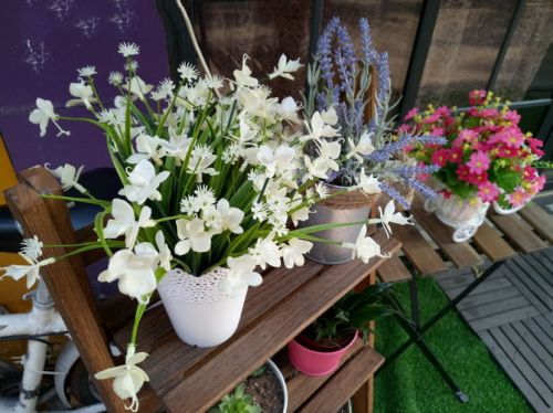 金立M6拍攝功能體驗(yàn)