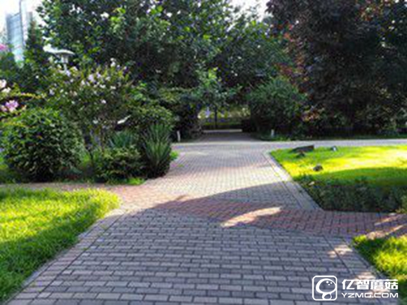 2016年用戶好評率高的手機推薦 5部為用戶體驗而生的手機