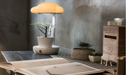 云植物桌燈幫你照顧花花草草：養花也能當甩手掌柜