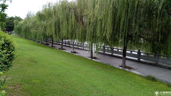 紅米Pro尊享版怎么樣?紅米Pro尊享版全面評測